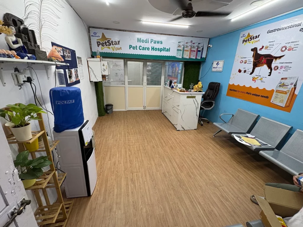 Medi Paws Pet Care Hospital Veterinary Clinic in Himayatnagar, Hyderabad — Facility Photo 6