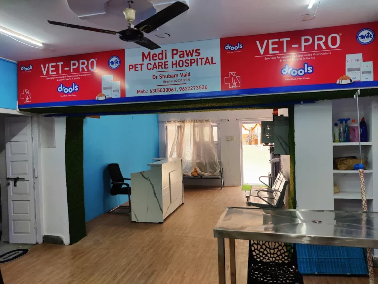 Medi Paws Pet Care Hospital - Pet Clinic in Himayatnagar, Hyderabad