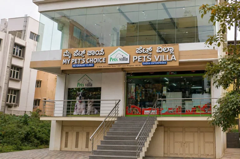 My Pet's Choice Clinic - Pet Clinic in HSR Layout, Bengaluru