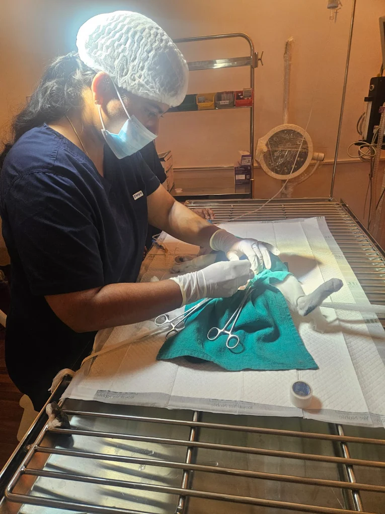 MyPetz Pet Hospital Spa & Store Veterinary Clinic in Kalyan Nagar, Bengaluru — Facility Photo 3
