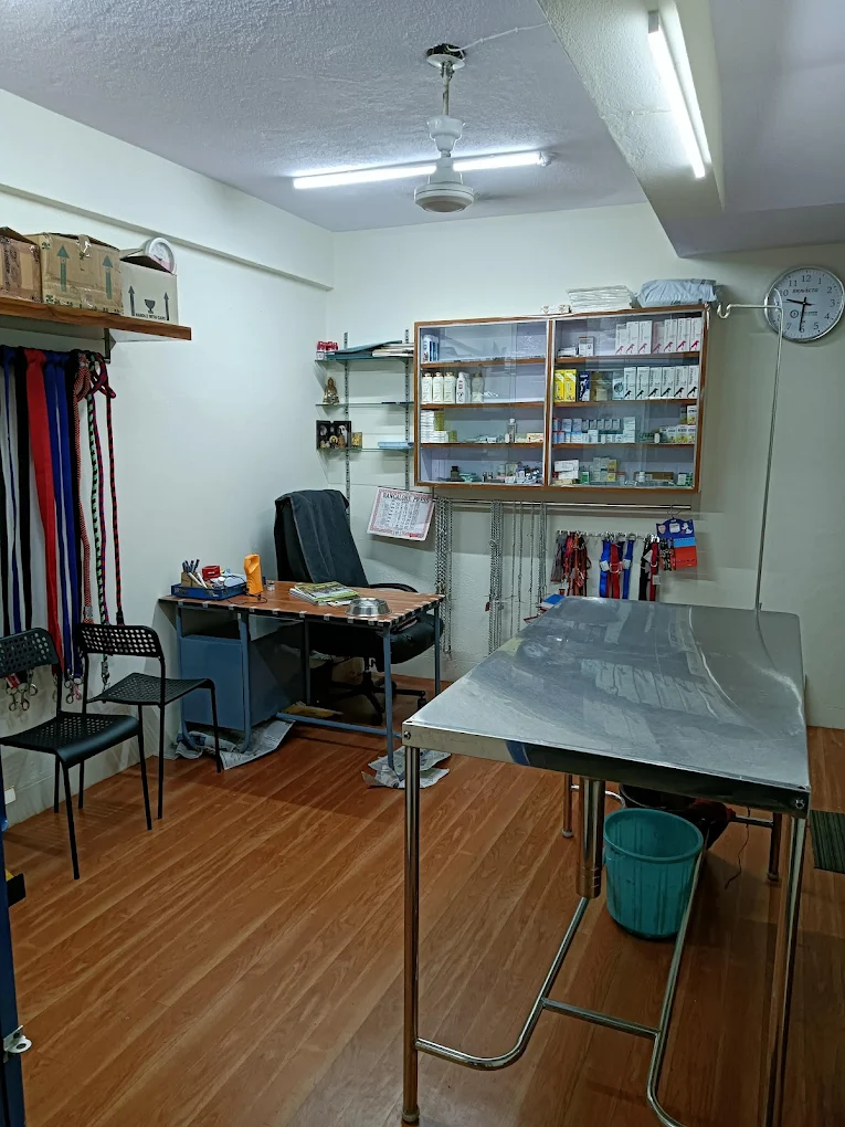 New Pets Vet Clinic, Kumaraswamy Layout Veterinary Clinic in Kumaraswamy Layout, Bengaluru — Facility Photo 3