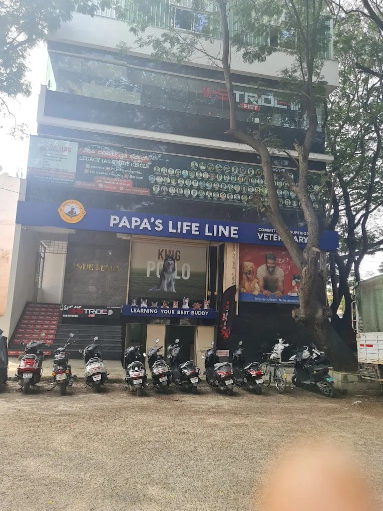 Papas Lifeline Pet Clinic & Veterinary Hospital – Jayanagar - Pet Clinic in Jayanagar, Bengaluru