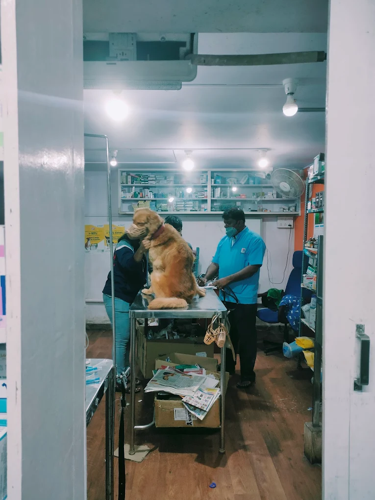 Parkside Pet clinic Pet Shop Veterinary Clinic in Kasturi Nagar, Bengaluru — Facility Photo 4