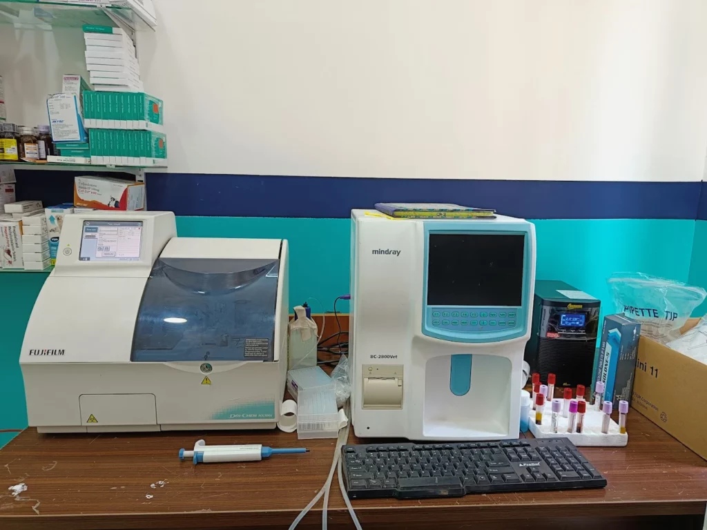 Paw Mates Pet Care Veterinary Clinic in Horamavu, Bengaluru — Facility Photo 6