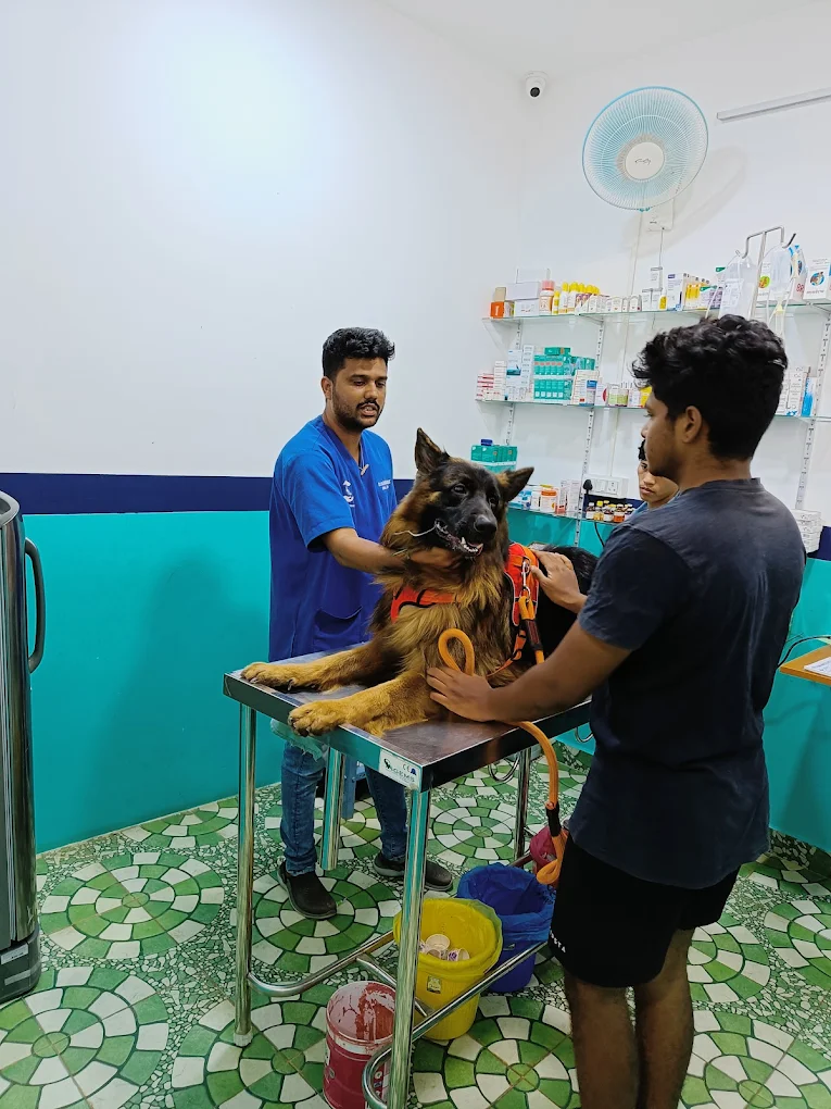 Paw Mates Pet Care Veterinary Clinic in Horamavu, Bengaluru — Facility Photo 3
