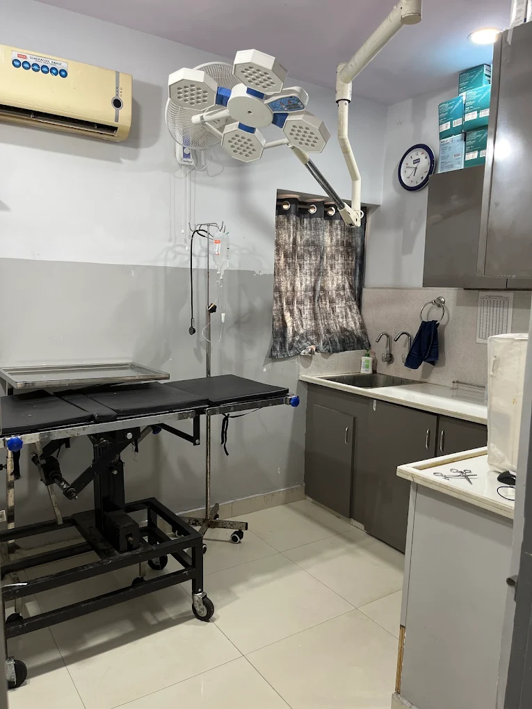 Pet Park Clinic, Begumpet Veterinary Clinic in Begumpet, Hyderabad — Facility Photo 7