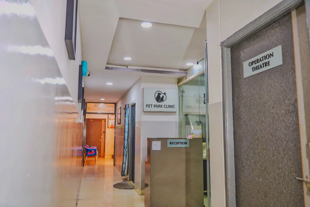 Pet Park Clinic, Begumpet Veterinary Clinic in Begumpet, Hyderabad — Facility Photo 2
