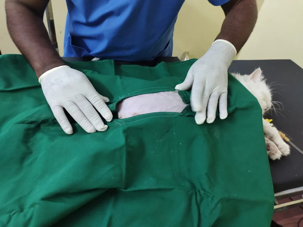 Pet Shine Clinic, Himayatnagar Veterinary Clinic in Himayatnagar, Hyderabad — Facility Photo 3