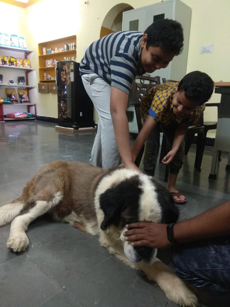 Pet Well Clinic, Moula Ali Veterinary Clinic in Moula Ali, Hyderabad — Facility Photo 6