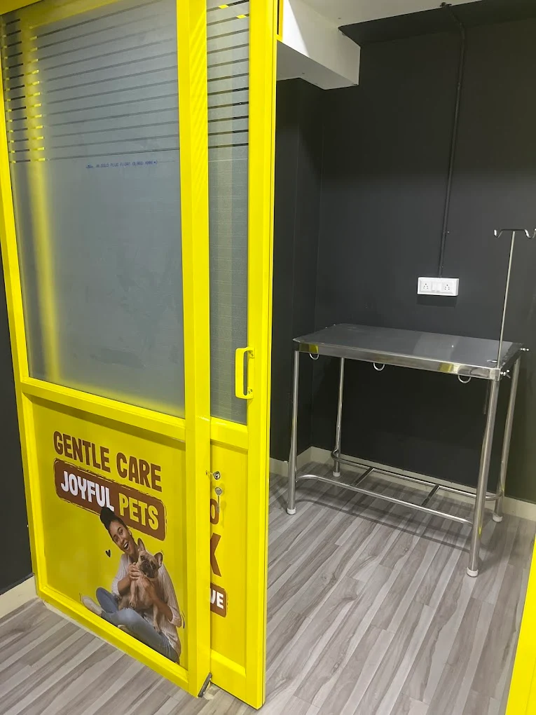 Pets First Hospital Kalyan Nagar – 24/7 Veterinary Clinic in Kalyan Nagar, Bengaluru — Facility Photo 4