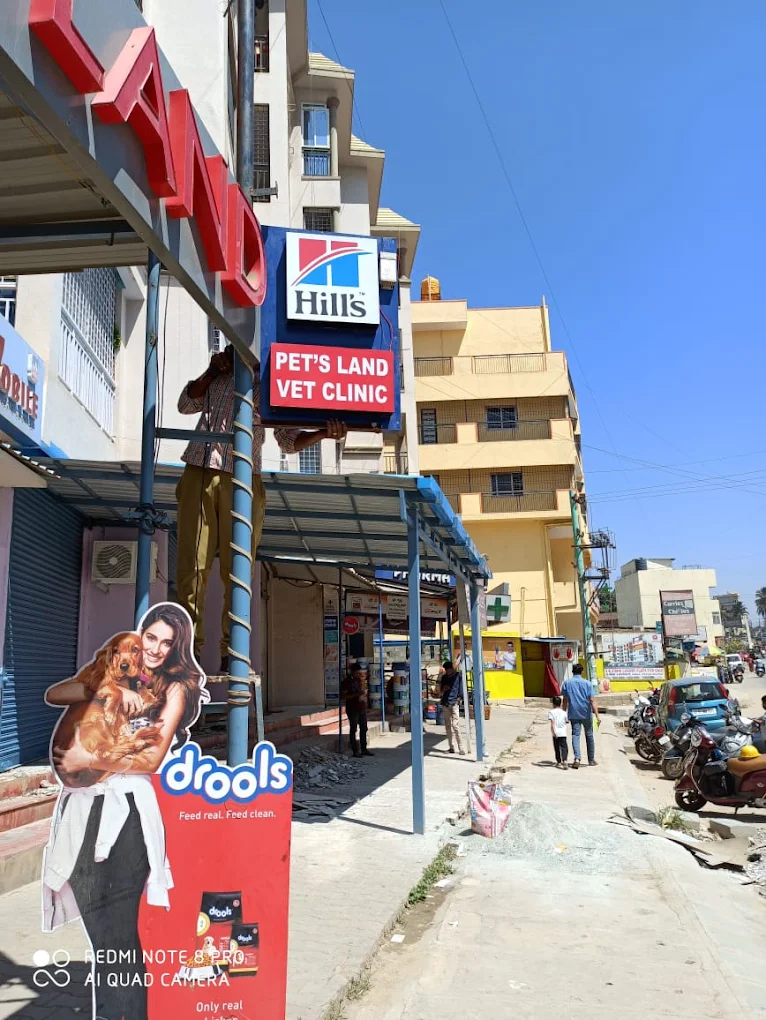 Pets Land Shop & Clinic, Horamavu Veterinary Clinic in Horamavu, Bengaluru — Facility Photo 6