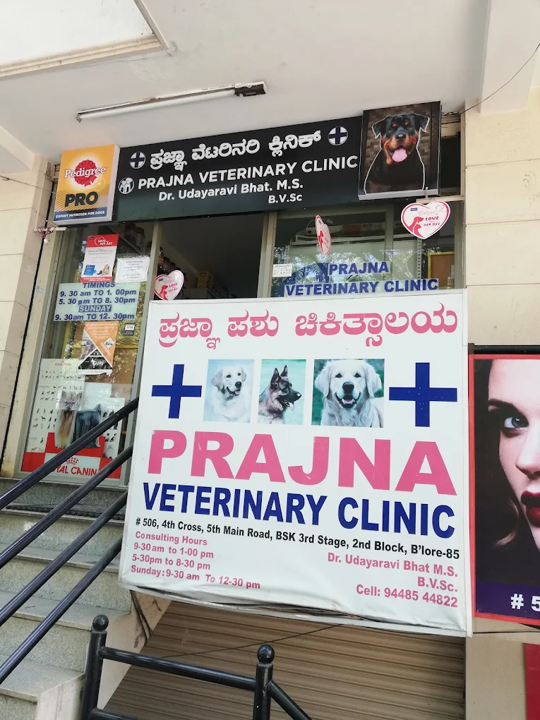 Prajna Veterinary Clinic - Pet Clinic in Banashankari, Bengaluru