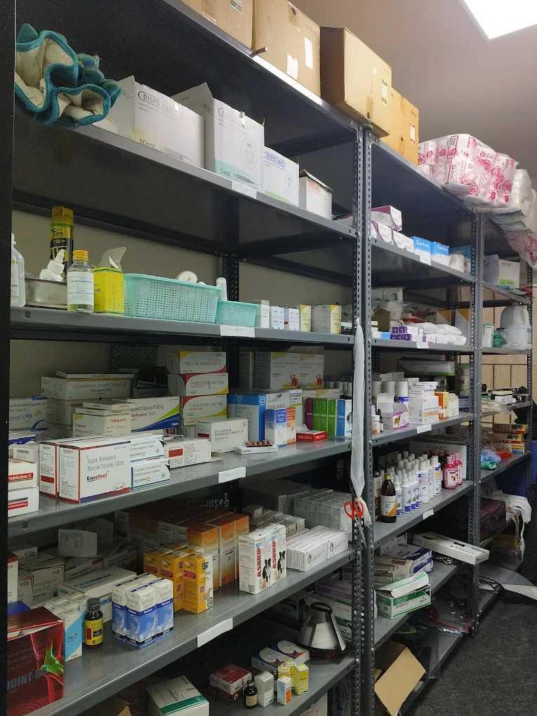 RS Veterinary Clinic Veterinary Clinic in Banashankari, Bengaluru — Facility Photo 8
