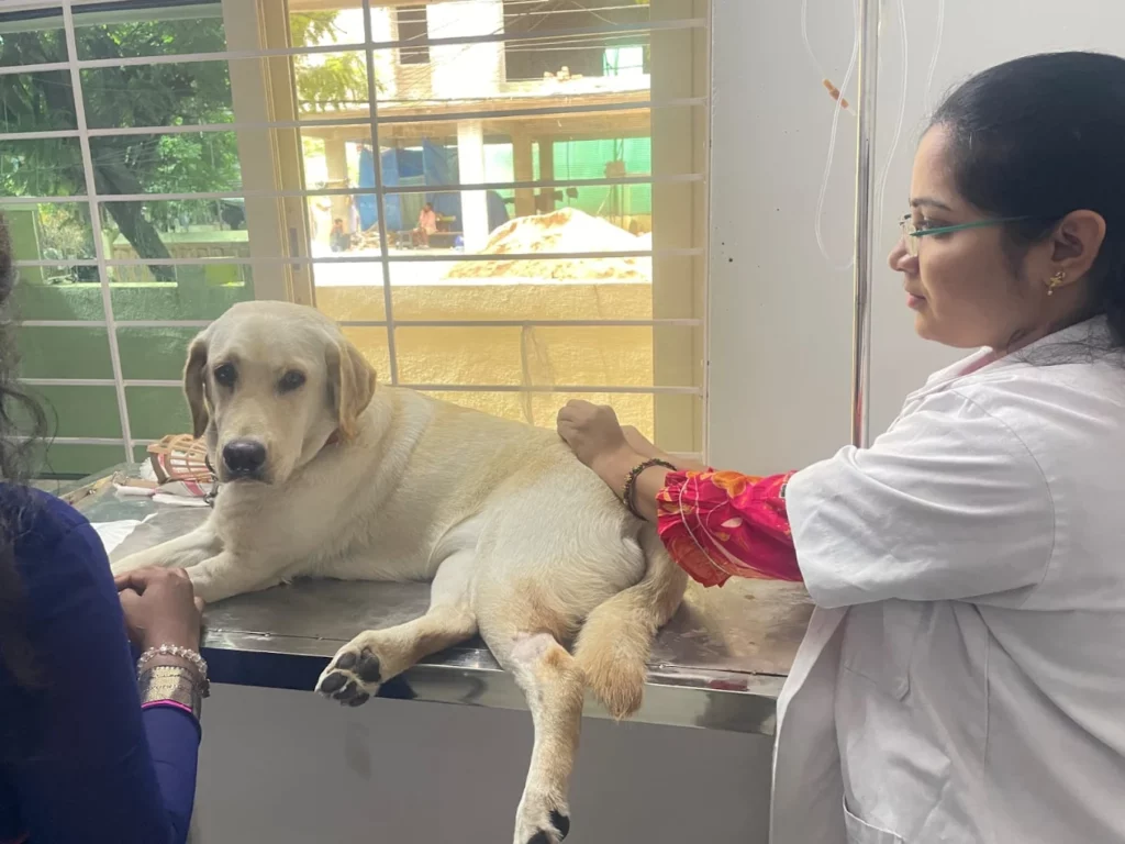 Rithu Pet Care Veterinary hospital Veterinary Clinic in Sainikpuri, Hyderabad — Facility Photo 3