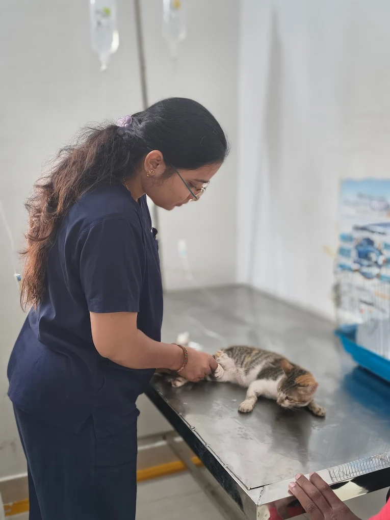 Rithu Pet Care Veterinary hospital Veterinary Clinic in Sainikpuri, Hyderabad — Facility Photo 5