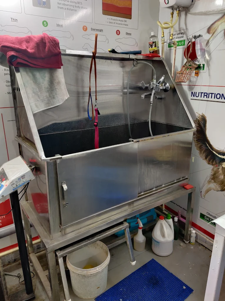 Royal Pet World Pet Clinic and Pharmacy Veterinary Clinic in Alwal, Hyderabad — Facility Photo 4