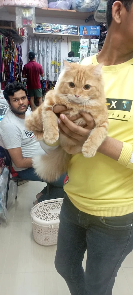 Royal Pet World Pet Clinic and Pharmacy Veterinary Clinic in Alwal, Hyderabad — Facility Photo 7