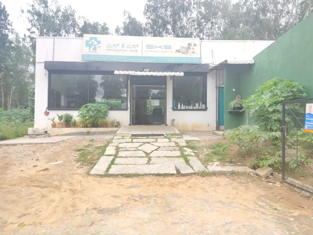 SKS Veterinary Hospital, Bannerghatta Veterinary Clinic in Pillaganahalli, Bengaluru — Entrance/Facility Photo
