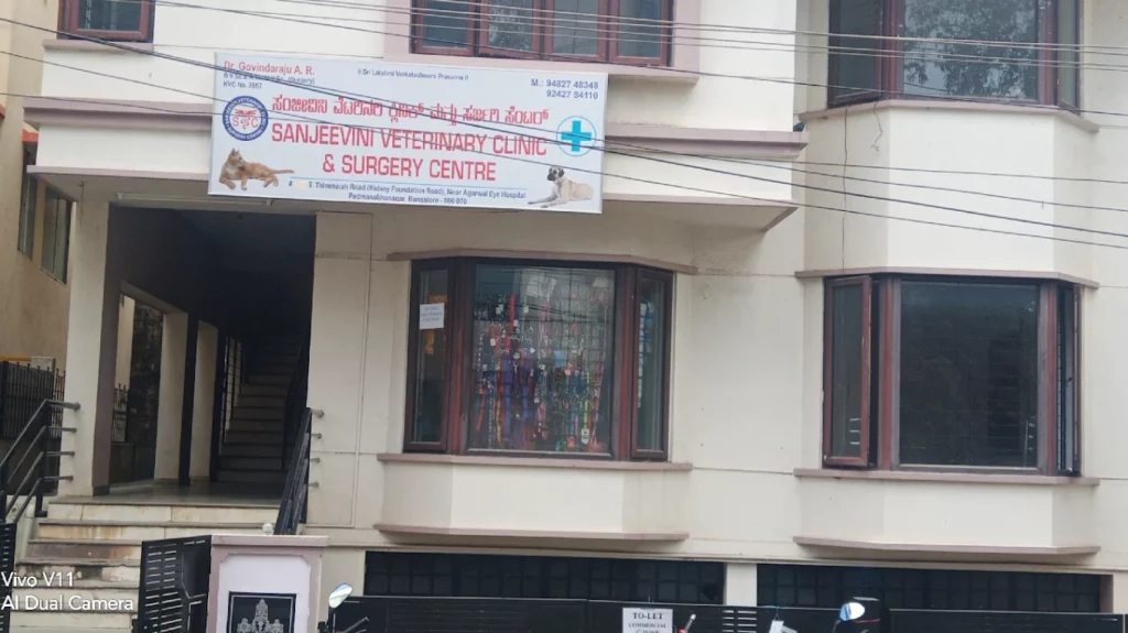 Sanjeevini Veterinary Clinic & Surgery Centre Veterinary Clinic in Padmanabhanagar, Bengaluru — Entrance/Facility Photo