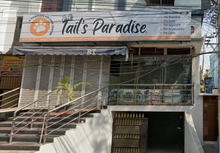 TAIL'S PARADISE - Pet Care Centre - Pet Clinic in Tarnaka, Hyderabad