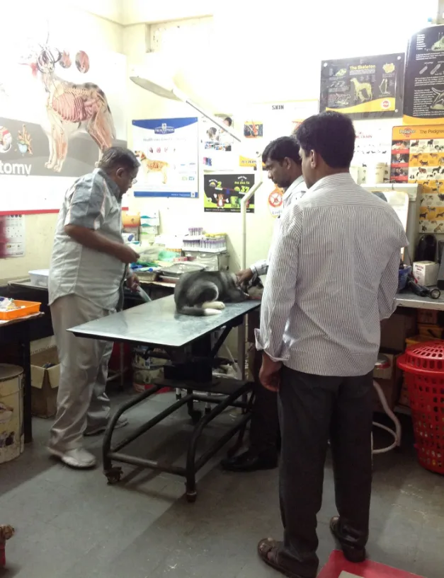 Good Shepherd Veterinary Polyclinic Veterinary Clinic in Tirumalagiri, Hyderabad — Facility Photo 4