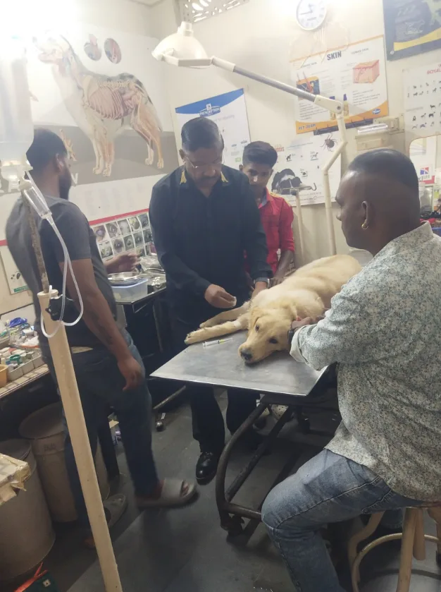 Good Shepherd Veterinary Polyclinic Veterinary Clinic in Tirumalagiri, Hyderabad — Facility Photo 3