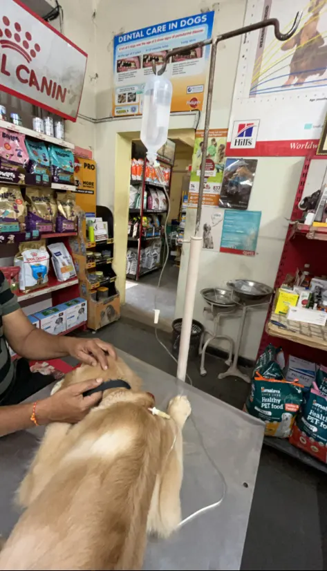 Good Shepherd Veterinary Polyclinic Veterinary Clinic in Tirumalagiri, Hyderabad — Facility Photo 5