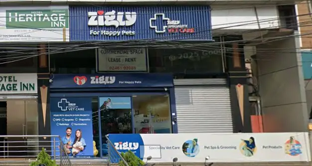 Zigly Pet Care, Begumpet - Pet Clinic in Begumpet, Hyderabad
