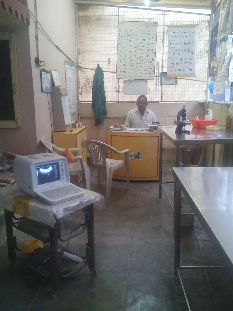 Sri Krishna Pet Clinic, West Marredpally Veterinary Clinic in West Marredpally, Hyderabad — Facility Photo 2
