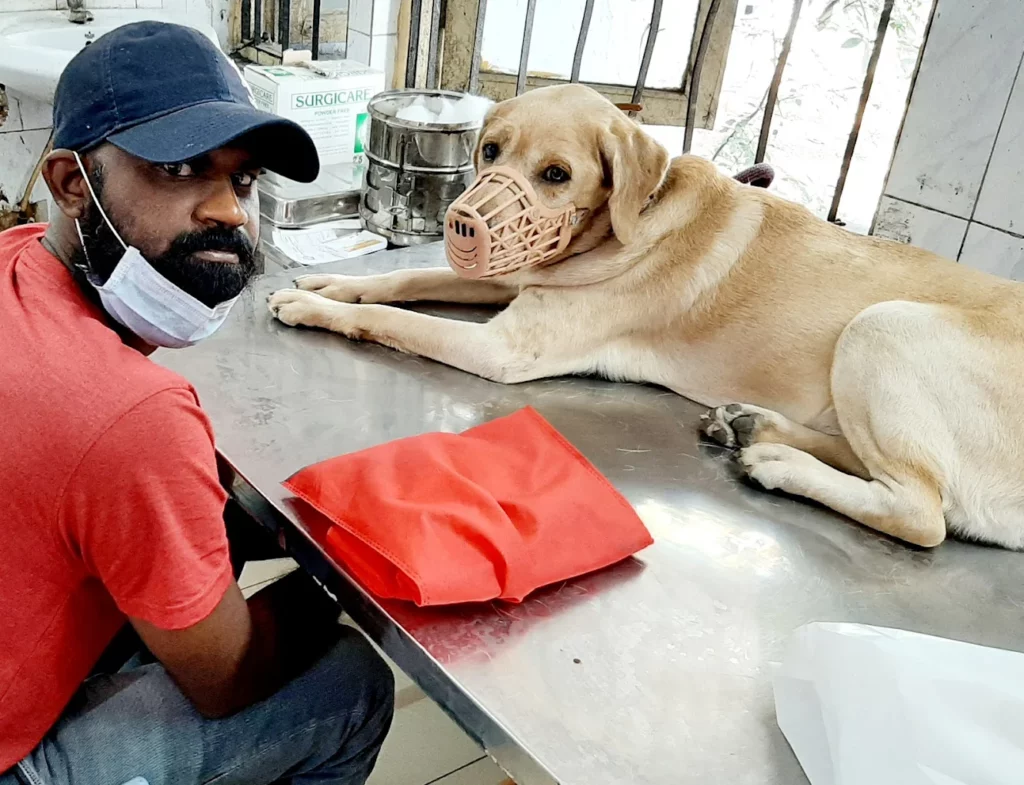 P.V. Narsimha Rao Telangana Veterinary University Veterinary Clinic in Bhoiguda, Hyderabad — Facility Photo 6