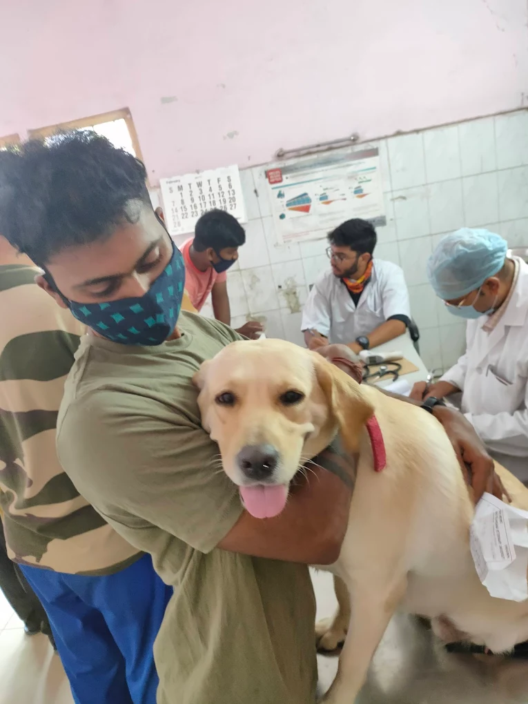 P.V. Narsimha Rao Telangana Veterinary University Veterinary Clinic in Bhoiguda, Hyderabad — Facility Photo 2