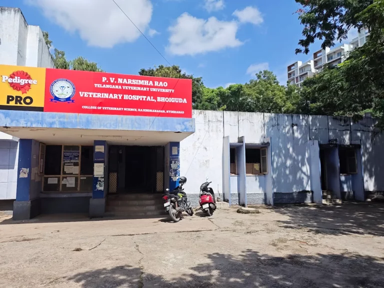 P.V. Narsimha Rao Telangana Veterinary University - Pet Clinic in Bhoiguda, Hyderabad