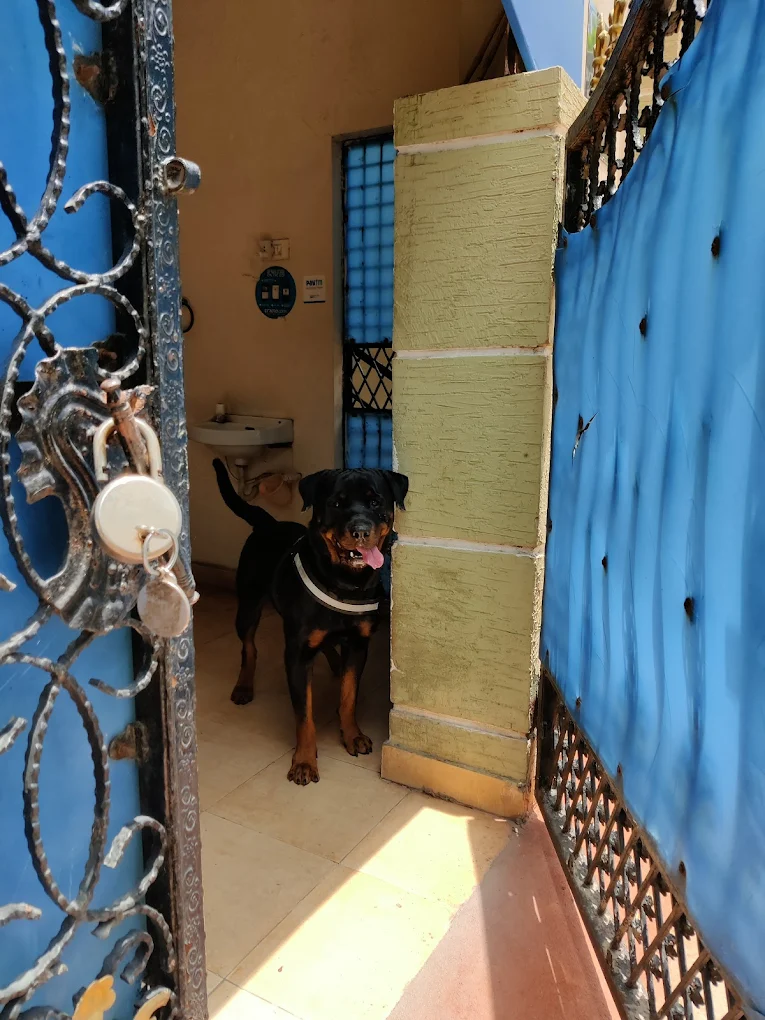 Sri Sai Pet Clinic, Tirumalagiri Veterinary Clinic in Tirumalagiri, Hyderabad — Facility Photo 2