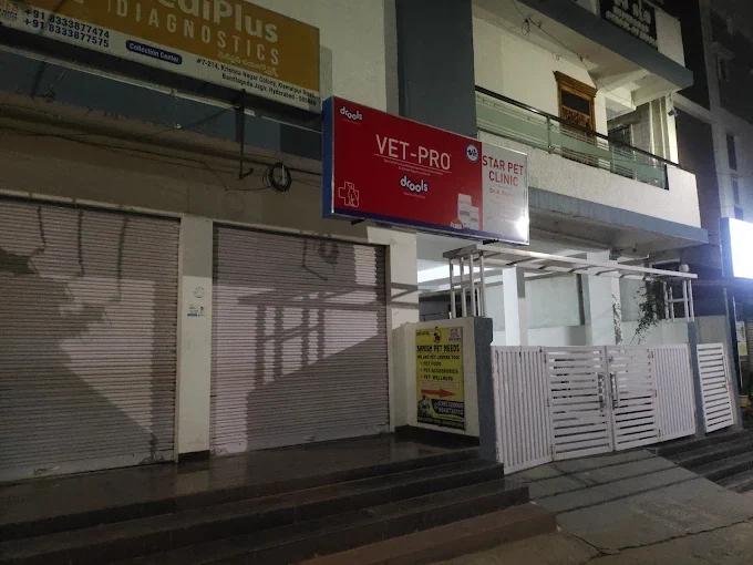 Star Pet Clinic, Bandlaguda Jagir Veterinary Clinic in Bandlaguda Jagir, Hyderabad — Facility Photo 2