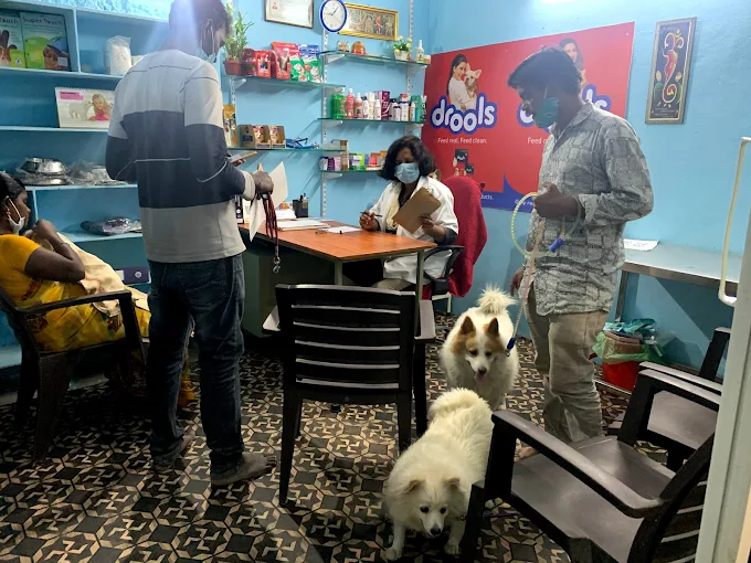 Star Pet Clinic, Bandlaguda Jagir Veterinary Clinic in Bandlaguda Jagir, Hyderabad — Facility Photo 4