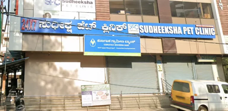 Sudheeksha Pet Hospital, Yelahanka - Pet Clinic in Bengaluru