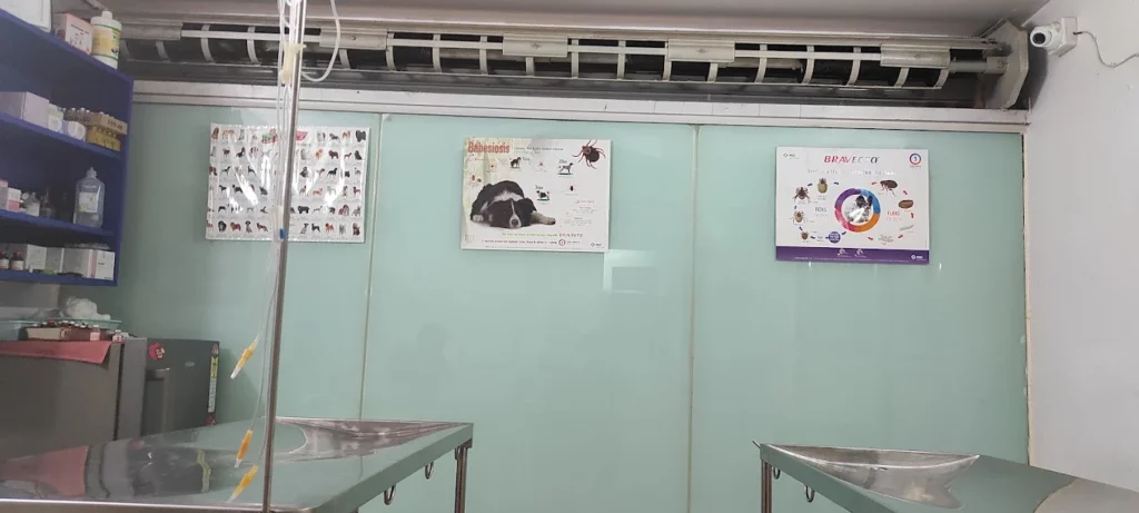 Sudha Pet Life Care Veterinary Clinic in Hanumantha Nagar, Bengaluru — Facility Photo 4