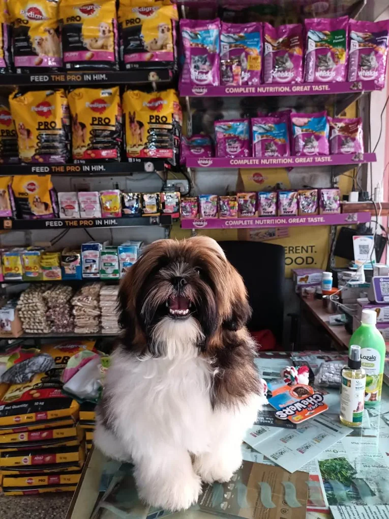 Surya Pet Shop & Clinic, Malkajgiri Veterinary Clinic in Malkajgiri, Hyderabad — Facility Photo 3
