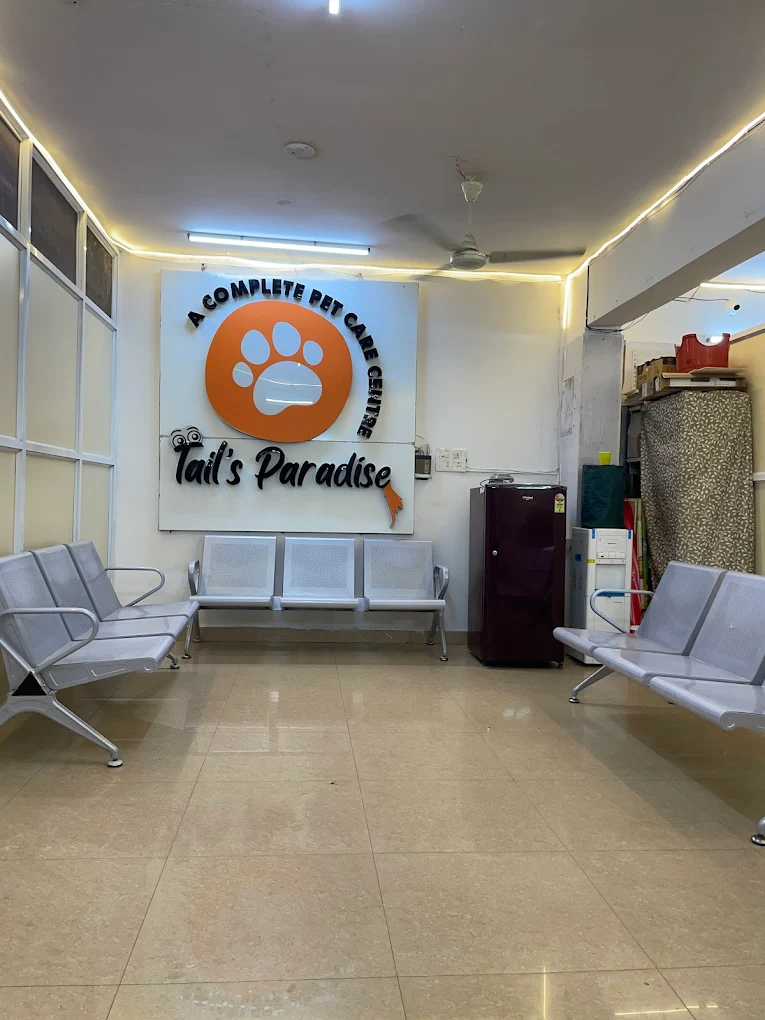 TAIL’S PARADISE – Pet Care Centre Veterinary Clinic in Tarnaka, Hyderabad — Facility Photo 7