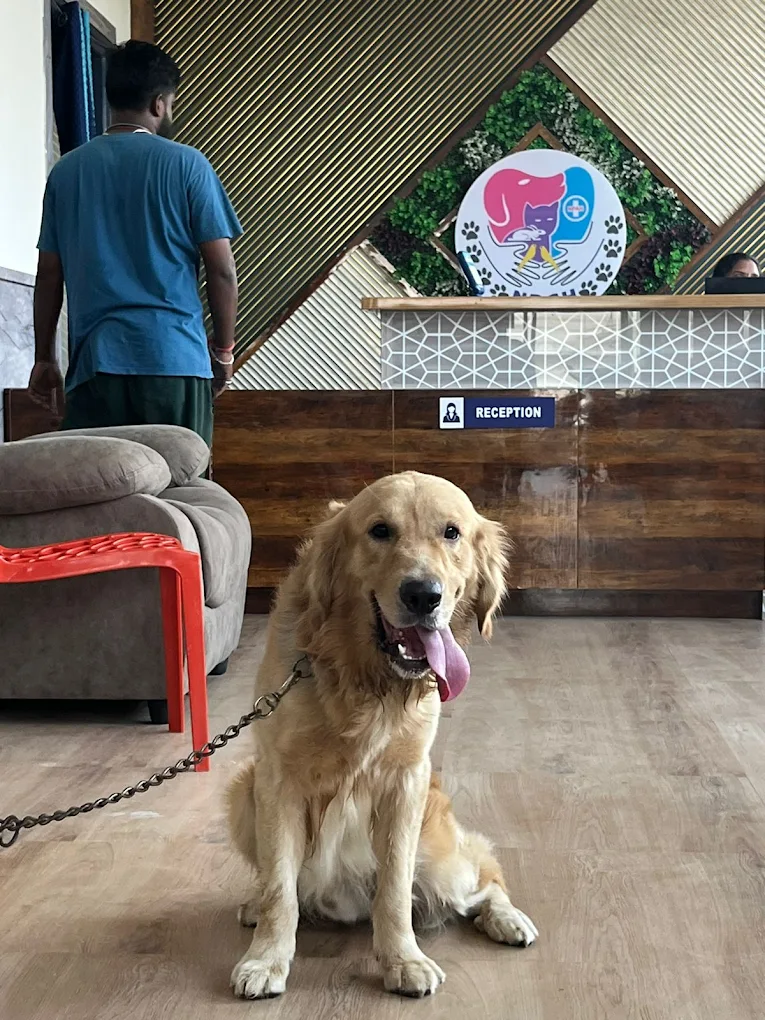 Tarnaka Pet Animal Clinic & Pet Diagnostic Veterinary Clinic in Tarnaka, Hyderabad — Facility Photo 5