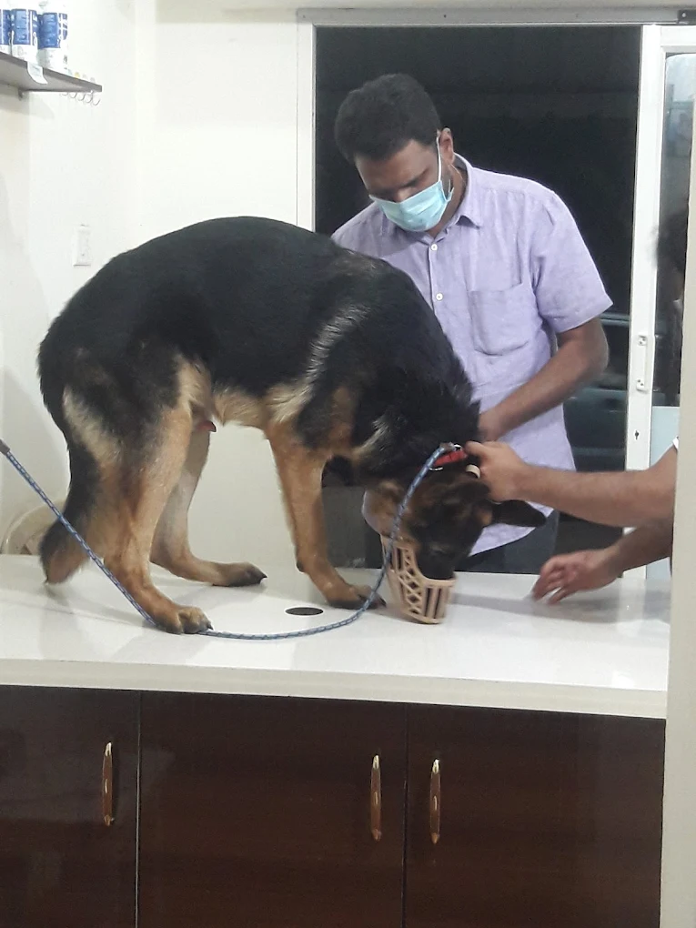 Tarnaka Pet Animal Clinic & Pet Diagnostic Veterinary Clinic in Tarnaka, Hyderabad — Facility Photo 3