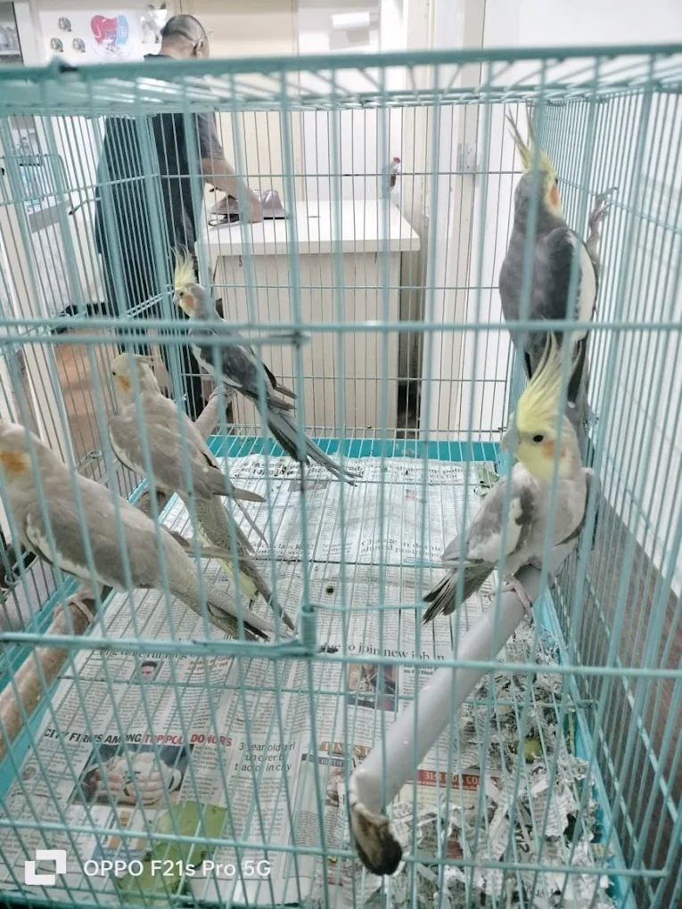Tarnaka Pet Animal Clinic & Pet Diagnostic Veterinary Clinic in Tarnaka, Hyderabad — Facility Photo 2