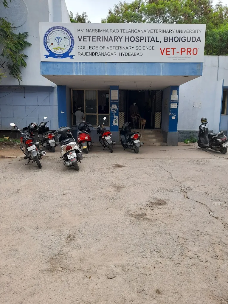 Veterinary Hospitals Bhoiguda - Pet Clinic in Bhoiguda, Hyderabad