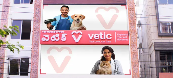 Vetic Pet Clinic, Banjara Hills - Pet Clinic in Banjara Hills, Hyderabad