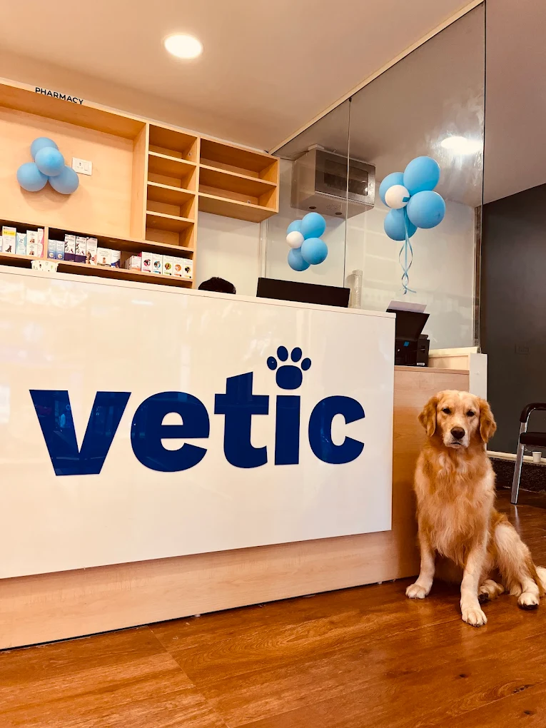 Vetic Pet Clinic HSR Layout Veterinary Clinic in HSR Layout, Bengaluru — Facility Photo 5