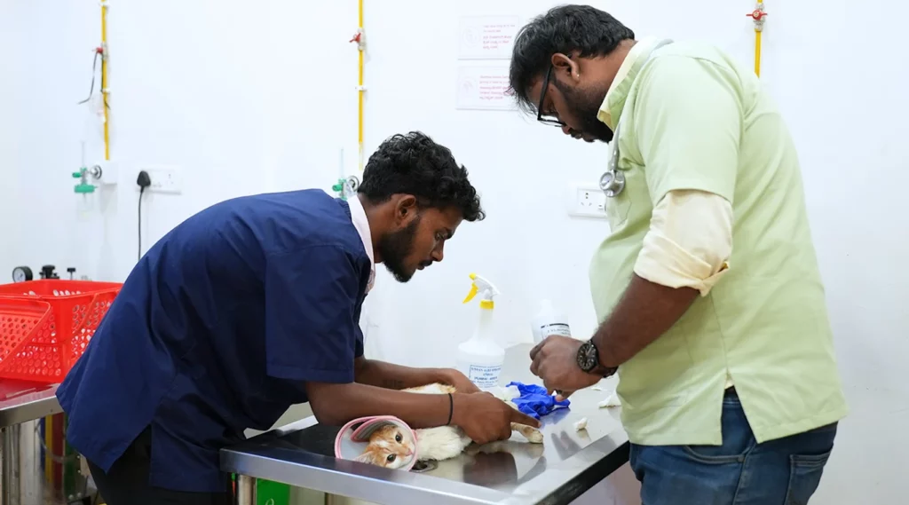 Vetic Pet Clinic HSR Layout Veterinary Clinic in HSR Layout, Bengaluru — Facility Photo 2