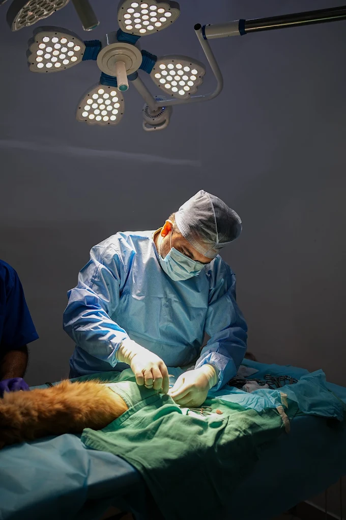 Vetic Pet Clinic, Himayat Nagar Veterinary Clinic in Himayatnagar, Hyderabad — Facility Photo 6