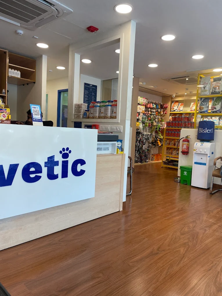 Vetic Pet Clinic Kalyan Nagar Veterinary Clinic in Kalyan Nagar, Bengaluru — Facility Photo 10