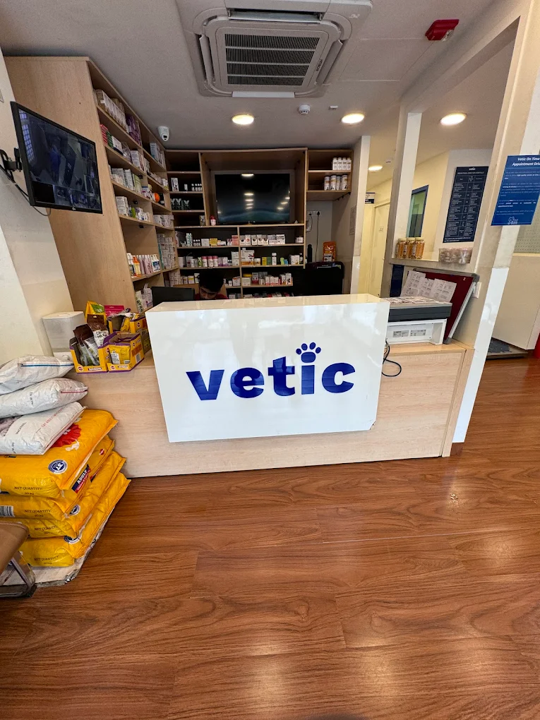 Vetic Pet Clinic Kalyan Nagar Veterinary Clinic in Kalyan Nagar, Bengaluru — Facility Photo 9