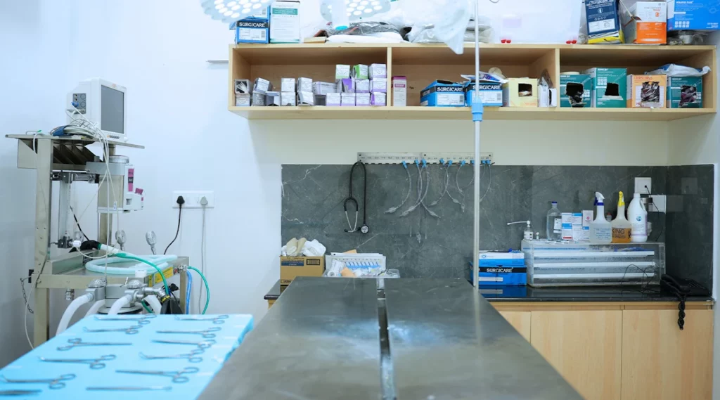 Vetic Pet Clinic Kalyan Nagar Veterinary Clinic in Kalyan Nagar, Bengaluru — Facility Photo 5